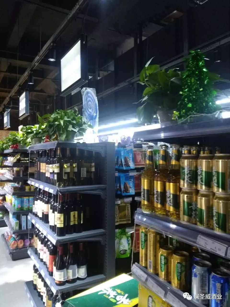 瀾圣威苦蕎啤酒 瀾圣威苦蕎啤酒