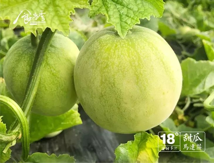 西瓜怎么看出来打了甜蜜素 3e6729f5b7e6417da27254d12ad86550.jpeg