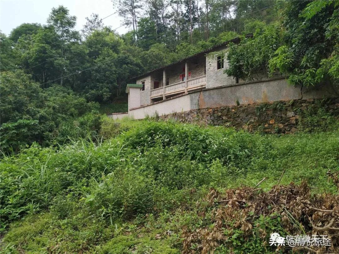 信宜朱砂这间两层阁楼式青砖大屋的主人,以前肯定是土豪!
