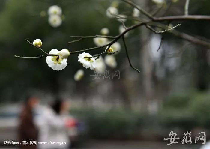 【800扫描】男子半夜被送进ICU!天天坚持跑步却犯下致命错误!这个锻炼误区很多人都有... 皇家娱乐赌场在线