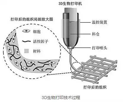 动物拜月的原理_资料分享 高考生物必考16 个实验原理大解析, 好资料一份就够了