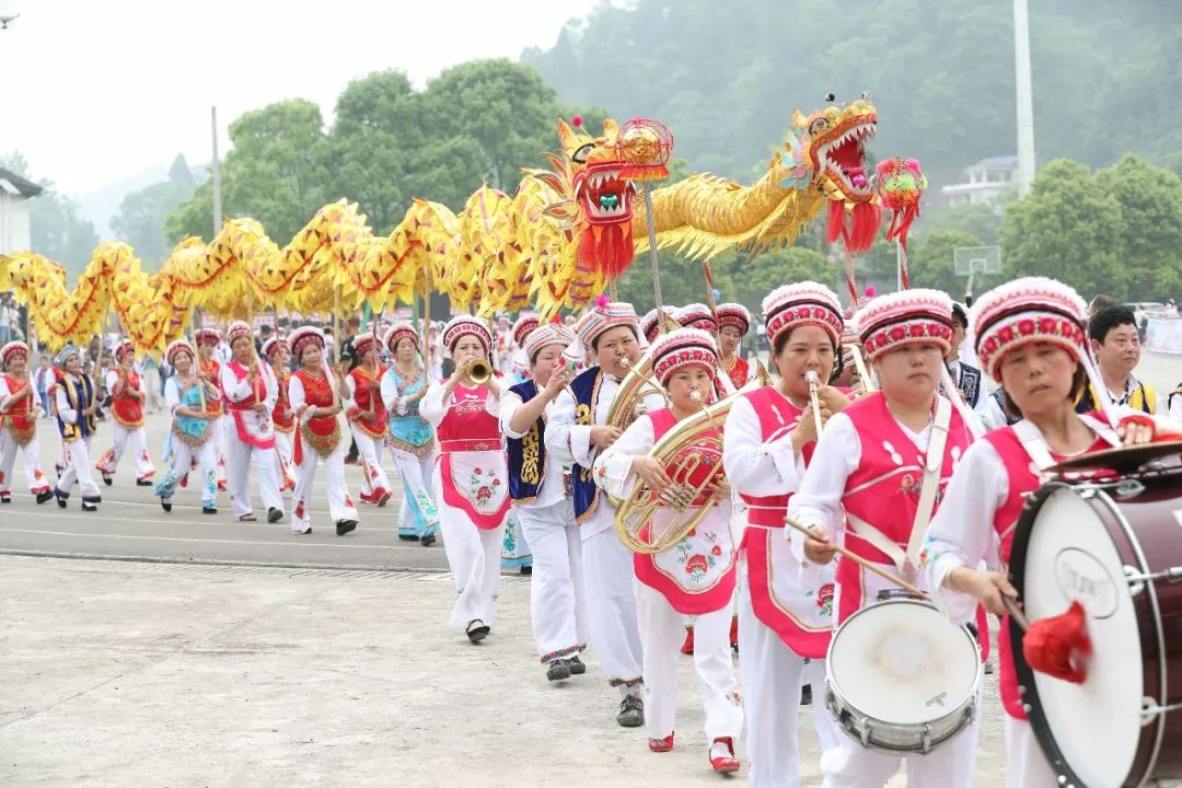 【头条】2亿年前的芙蓉龙复活引万人围观(附大量精美图片)