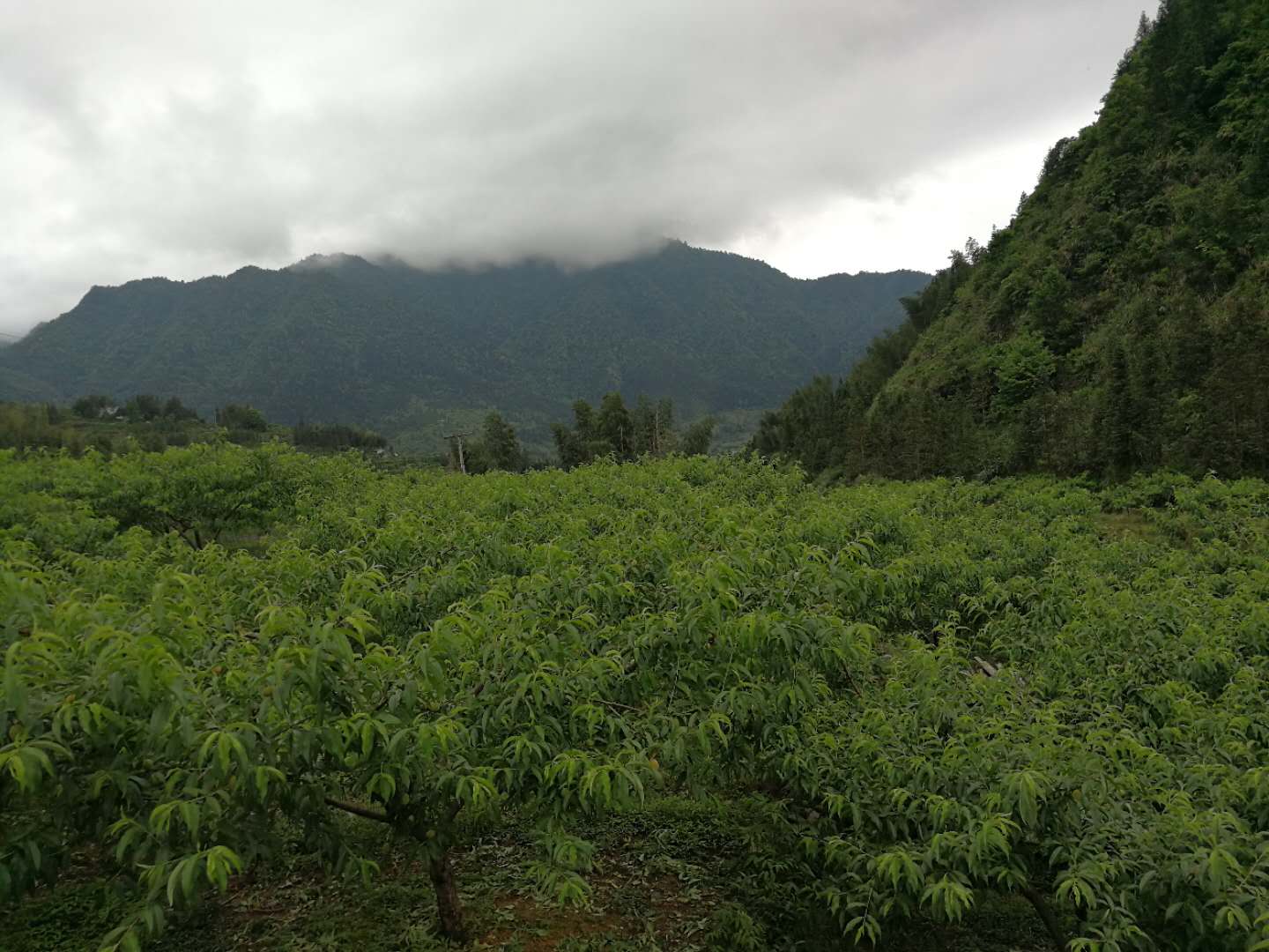 换位思考 换位做事 换位做人 通博的官方网址