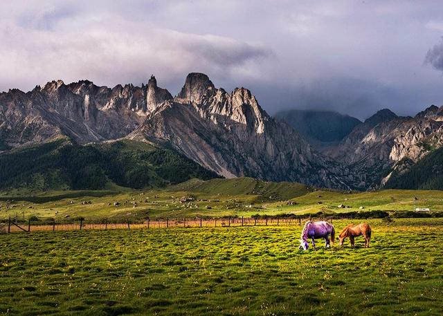 西藏怎么玩一周 595c25d89fae4f989f94c8665382db53.jpeg