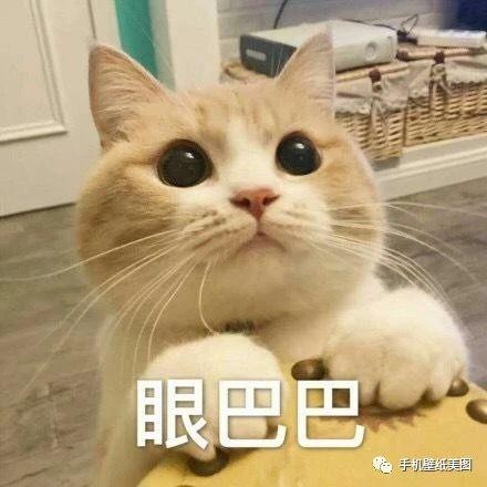 沙雕头像,抖音超火的头像