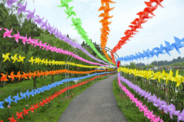 美爆了!这里玫瑰花开已成海,快和ta体验一场唯美梦幻花海之旅!