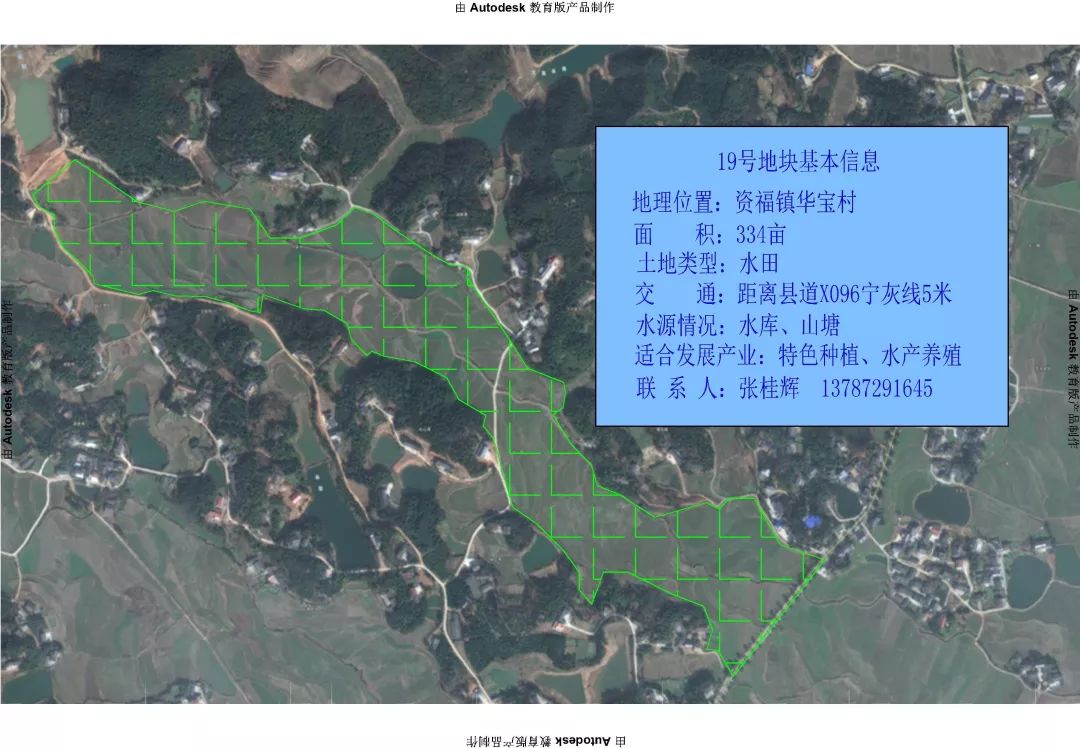 资福镇人口_人口普查