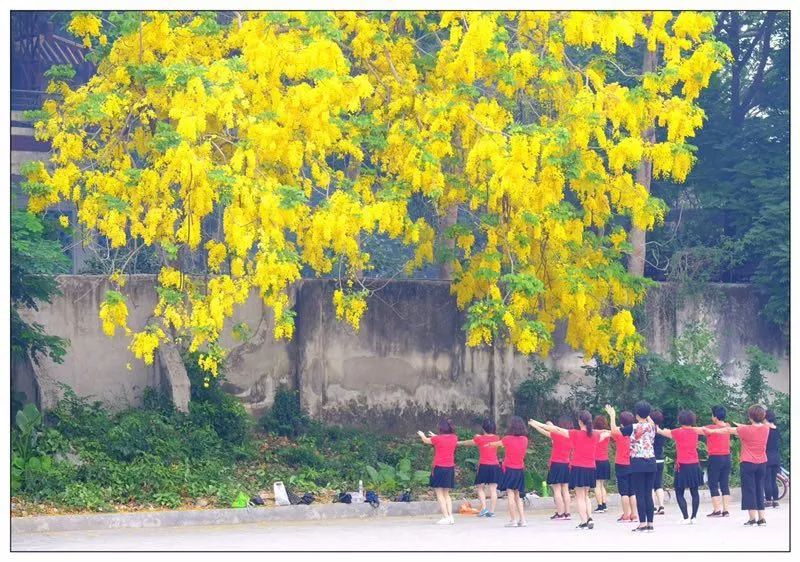 春暖花开图片唯美动感大图 645ab750c13e432b90bf52bf6c32da02.jpeg