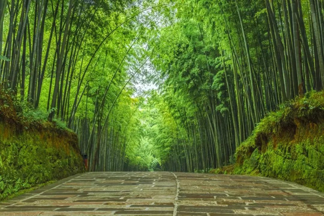 这12句诗明明这么美,却被误解千年! 澳博注册平台