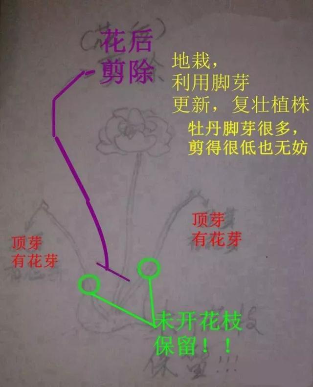 文章配图-37