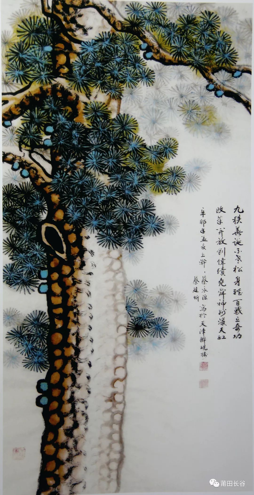 国画《不老松(蔡润 摄)