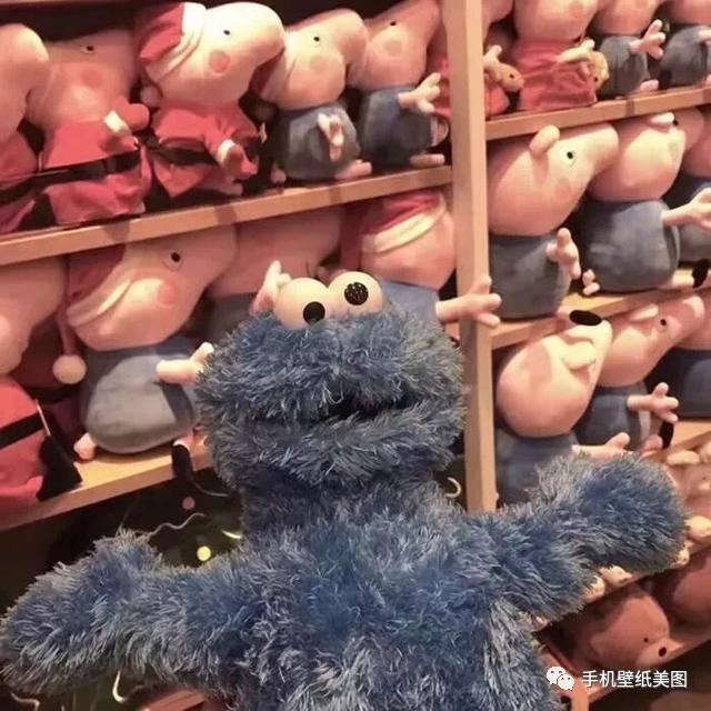 沙雕头像,抖音超火的头像_壁纸