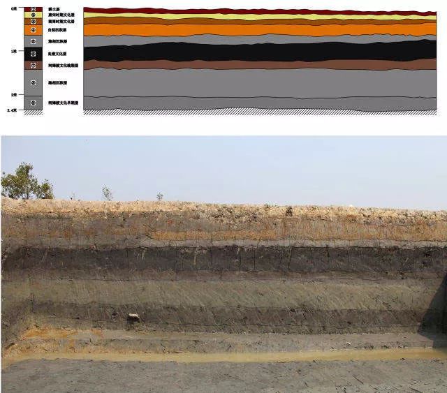 文博考研名词解释考古地层学专题