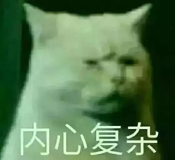 794a4f70977a43c69543069ddac0e2d8.jpeg