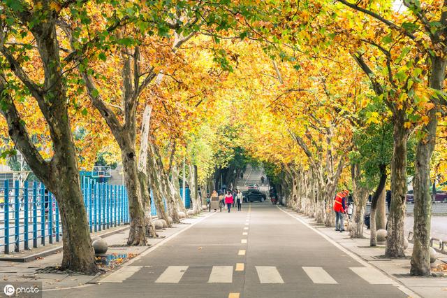 2019各线城市最好大学排行榜发布!你要的都在这里了~
2019各线城市最好大学排行榜发布!你要的都在这里了~