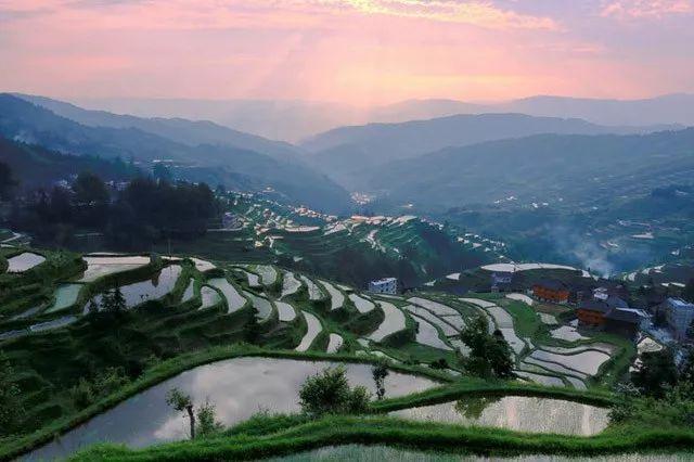 雷山县西江后梯田