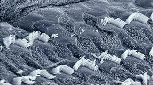 每次别人叫我好几声才听见为什么？