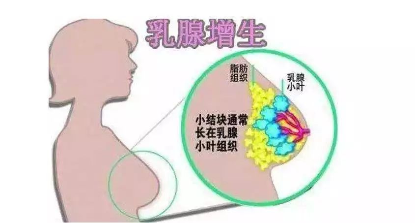 吃什么不会得癌 80488c61f0cb468f86a2219e534a4c2a.jpeg