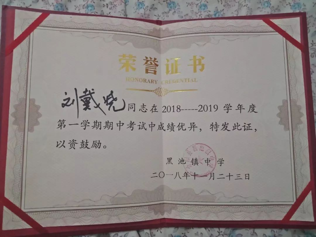 西北农林科技大学丨第二十届研支团合阳分队被授予
