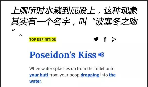 屁股的称呼 85cb85f4c4fc447584b2d5bd495cc132.jpeg