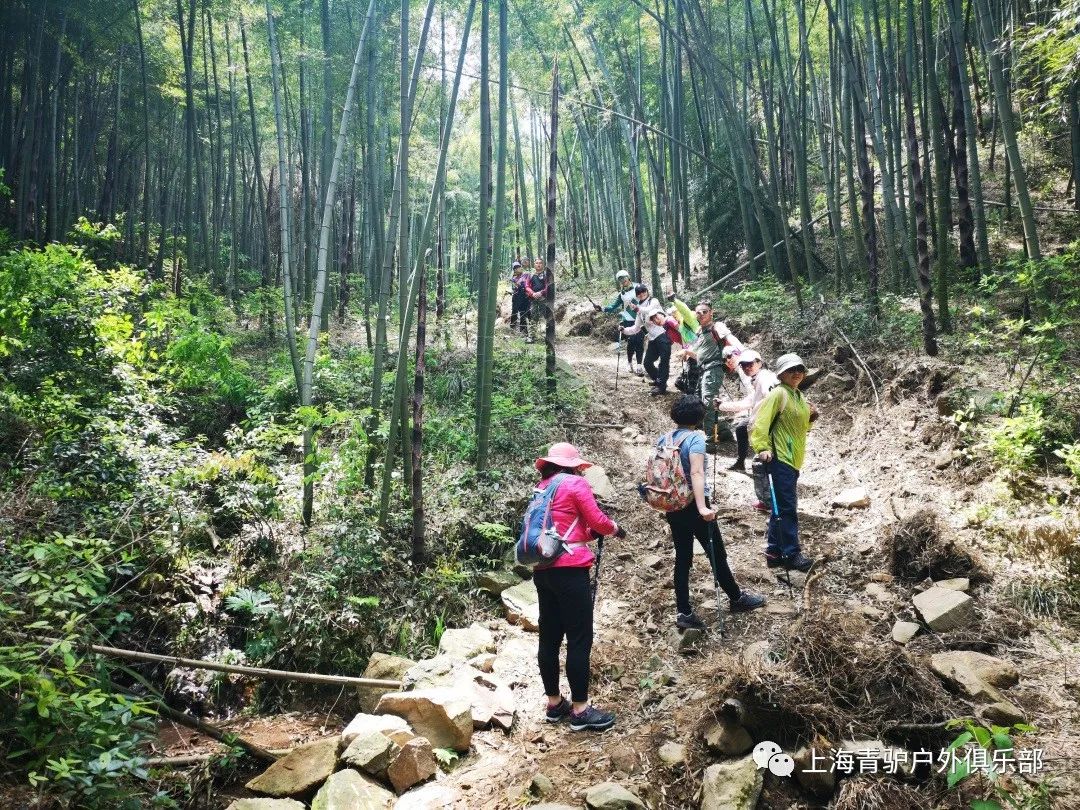 【活动回顾】4月27日 鸬鸟山毅行,赏漫山红绿相间!