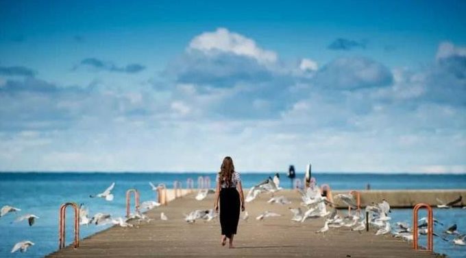 故事:浴火重生的老鹰_寿命