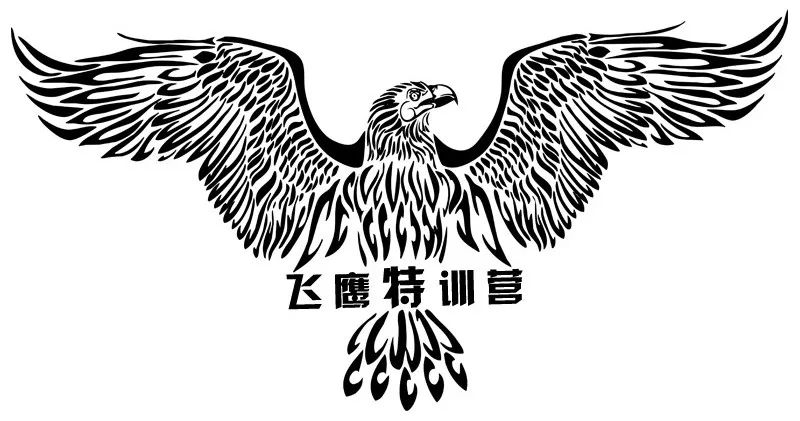 感悟 飞鹰特训营 陪伴每一位小飞鹰健康成长 期待每一位小飞鹰展翅