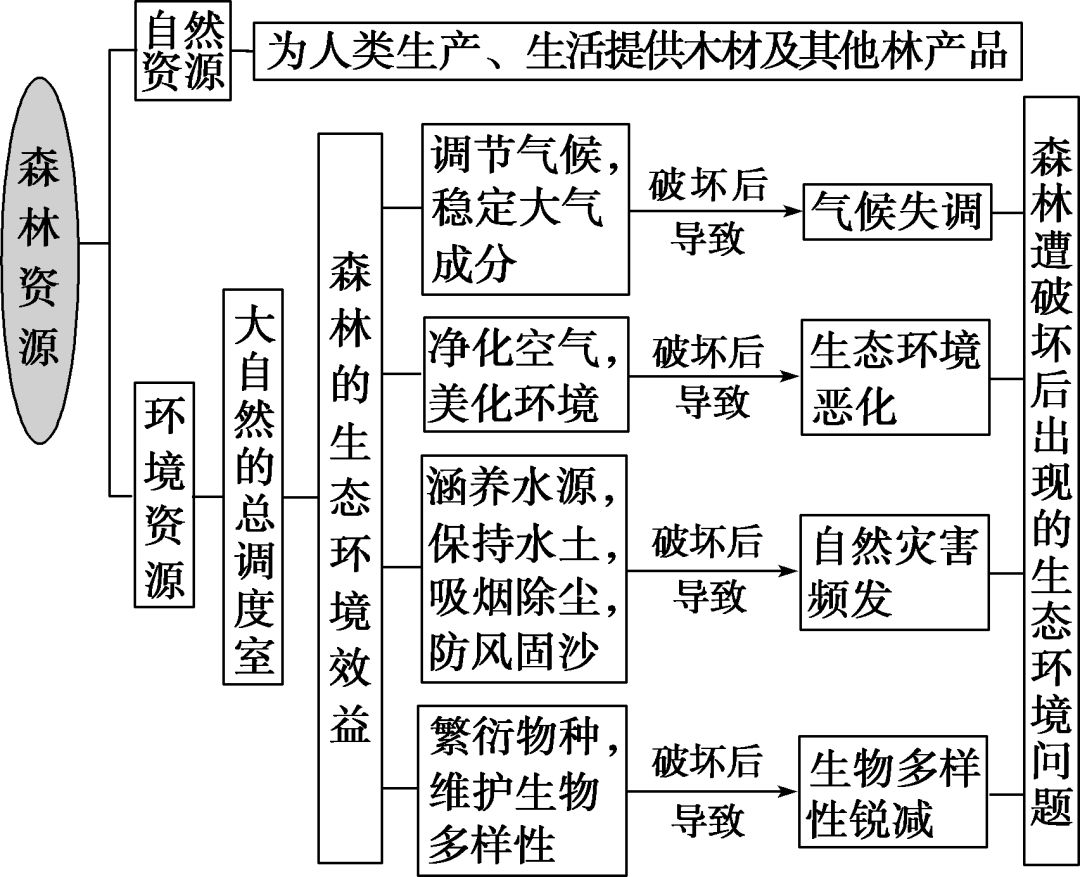2019枣庄三调各科试题及答案汇总附高中核心考点
2019枣庄三调各科试题及答案汇总附高中核心考点