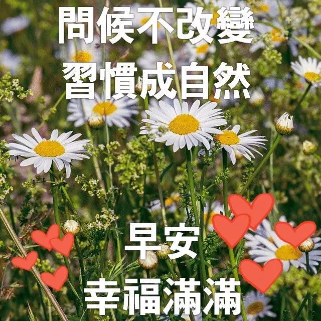 91468536cb8d4ddf9ef8d165ac651f27.jpeg