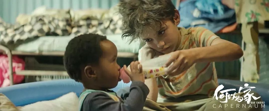 生而不养，养而不育，是对生命的不尊重。