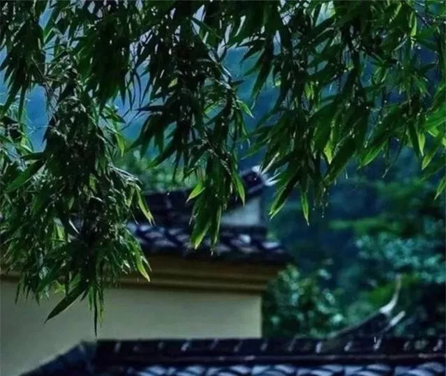 荀子 中的10句哲理名言 非常精辟有道理 值得收藏 事情