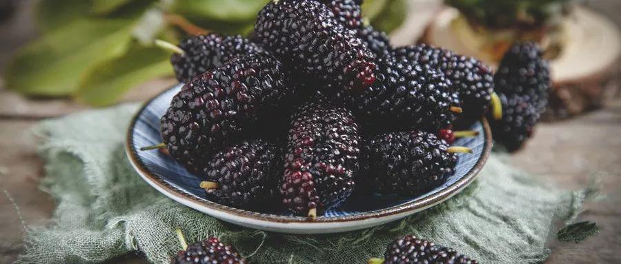 桑是什么东西呢 99f4205f86d145cbb1988c5e547d2d71.jpeg