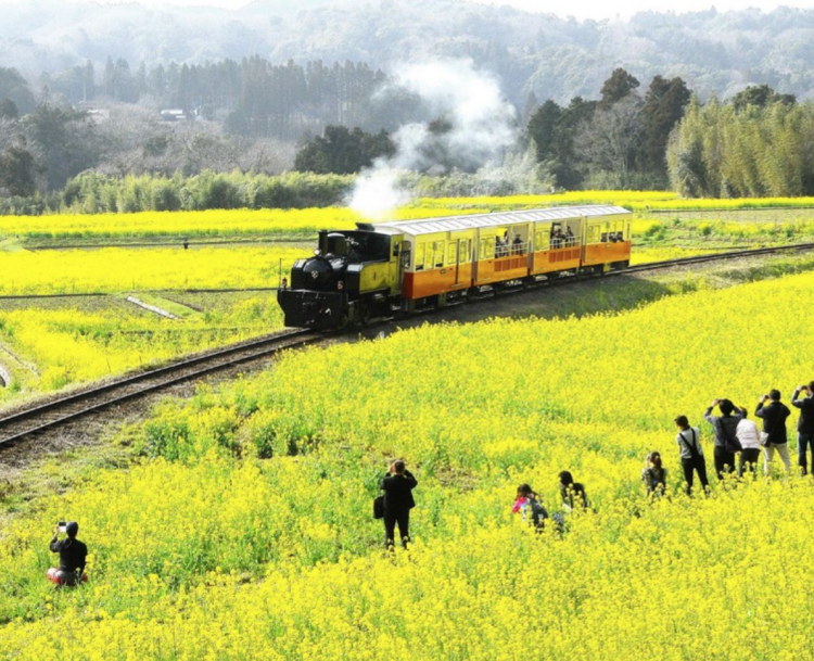 日本10大軌道列車——一場絕景震撼之旅 旅遊 第10張