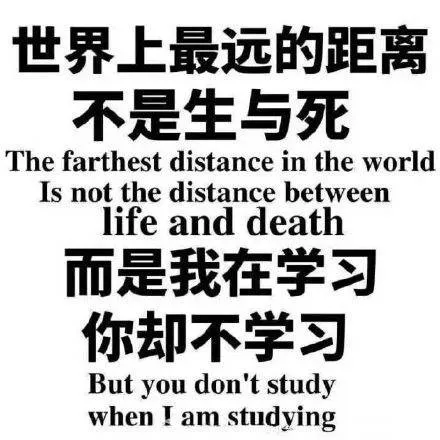 留学生:你只看到我光鲜的一面,其实Final季狼狈不堪
留学生:你只看到我光鲜的一面,其实Final季狼狈不堪