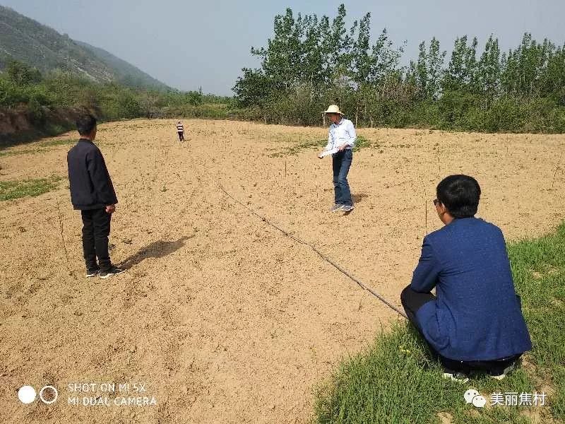 焦镇人口_人口普查图片(2)