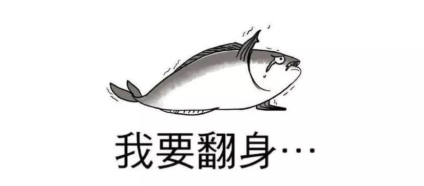 a4a671b4d36d4834b91e30ddb2842dde.jpeg