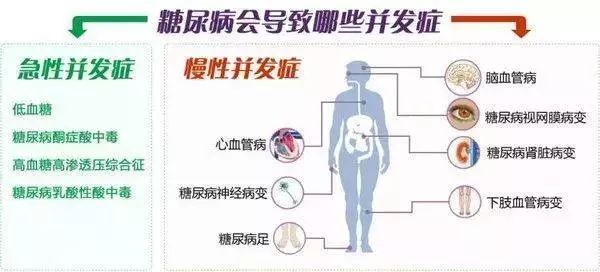 a4e6bb4e124b4c29a87bf4de489c48a7.jpeg