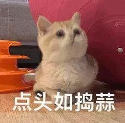 ab3625f991c54491abe4a413b6bf9eda.jpeg