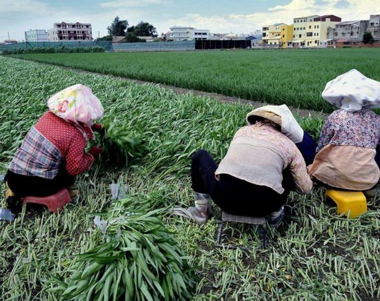 农民人口_中国农民人口数量是多少(2)