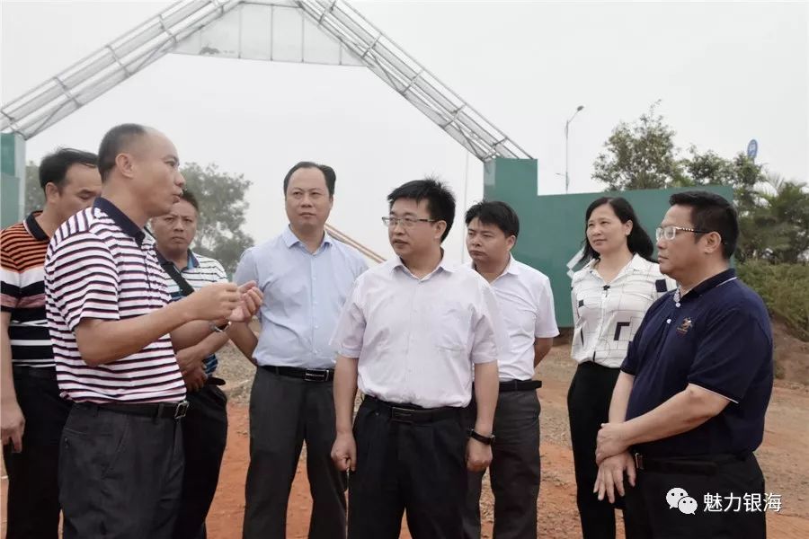 李伦兵同志调研湿地公园(冯家江流域)项目