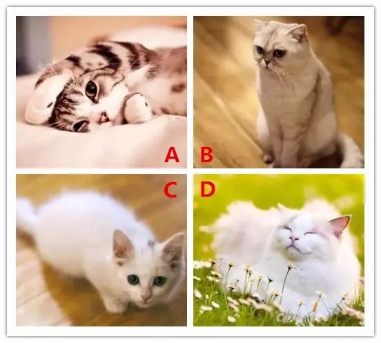 b514bbdf97754b51be3bebb5fee5b186.jpeg