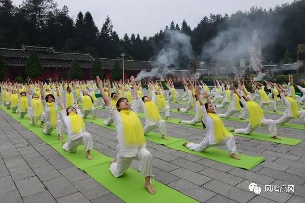 五半岛·BOB月茶茗飘香来 伽朋云集祭茶圣(图7)