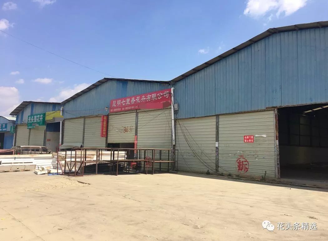 覆巢之下无完卵猜一成语_木猜一成语疯狂看图(2)