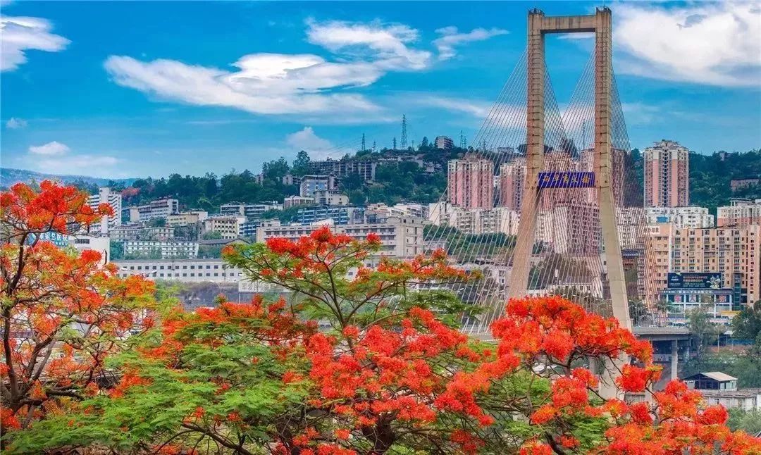 超美实拍!专属攀枝花的夏日浪漫