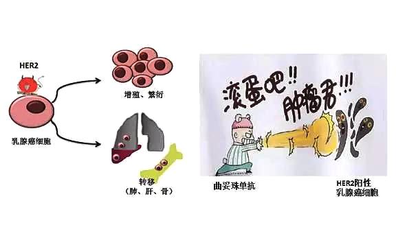 bec99468892844e085b057d31a78f024.jpeg