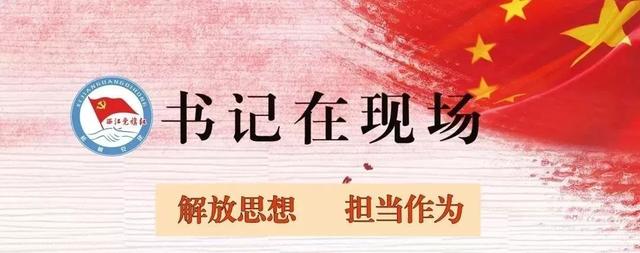 书记在现场深入调研直面问题共商对策宁康乡党委书记梁锦锋就乡村建设