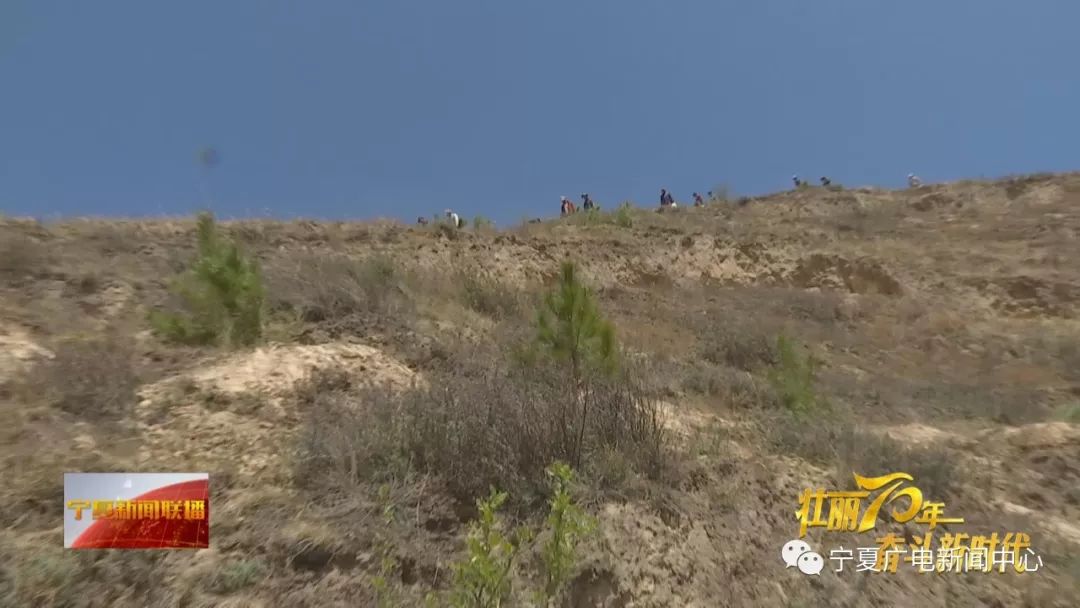今天宁夏新闻联播的头条,属于彭阳这群女汉子