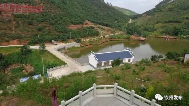 钦州灵山太平那谐村人口_广西钦州灵山大芦村