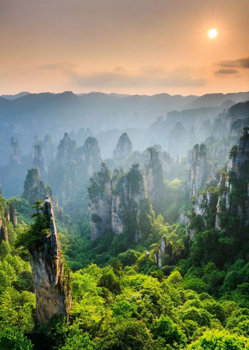 阿凡达的取景地,中国第一个国家森林公园!