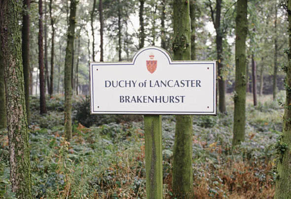 王室“金库”哪家强？反正也是几家欢乐几家愁